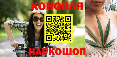 сатива Краснознаменск