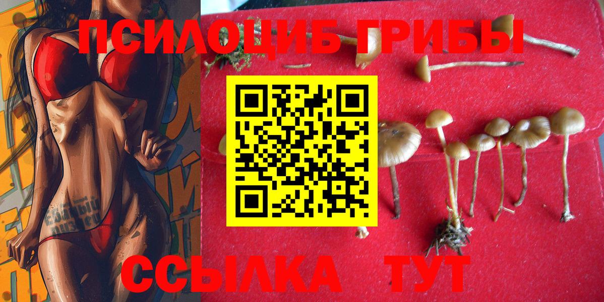 хочу наркоту  Псилоцибиновые грибы прущие грибы  Вход с VPN  Елизово 